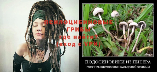 ГАЛЛЮЦИНОГЕННЫЕ ГРИБЫ Алексеевка