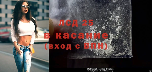 ГАЛЛЮЦИНОГЕННЫЕ ГРИБЫ Алзамай