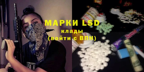 индика Пестово