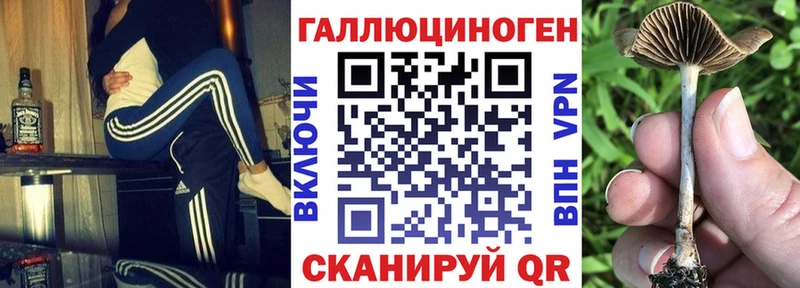Псилоцибиновые грибы GOLDEN TEACHER  Усинск 